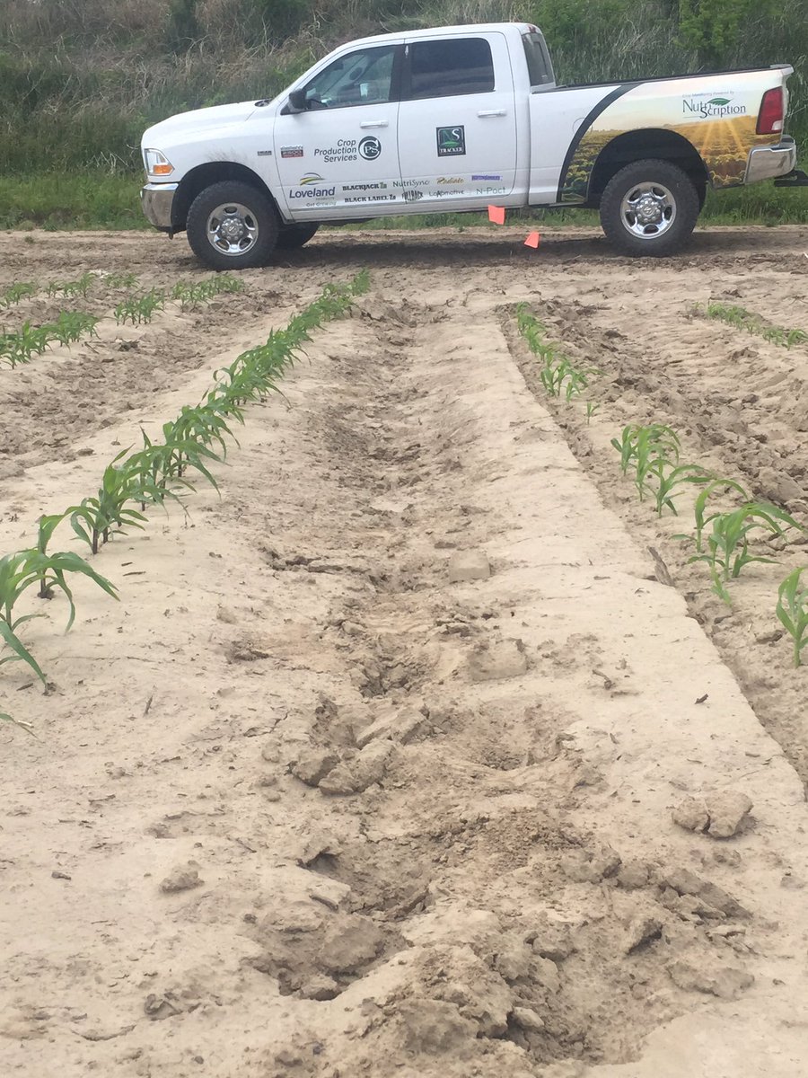 BlackMax22 on left.  Can you see the difference?