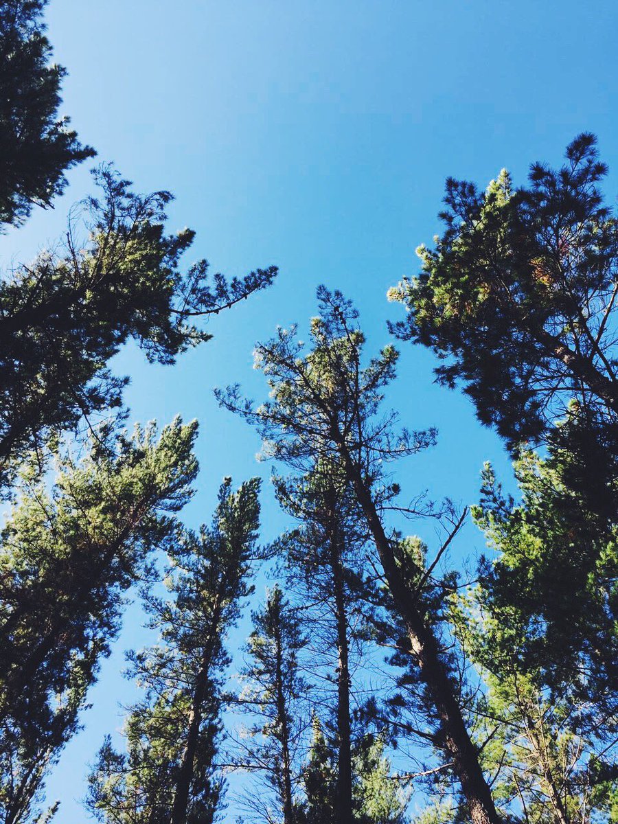 Basque Imagery tweet media