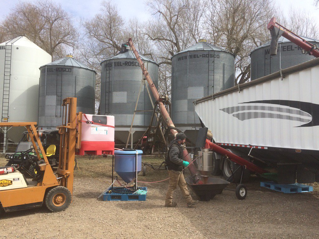 TracyHDavid's tweet image. @k_baillargeon treating wheat with #Syngenta #cruisermaxxvibrance