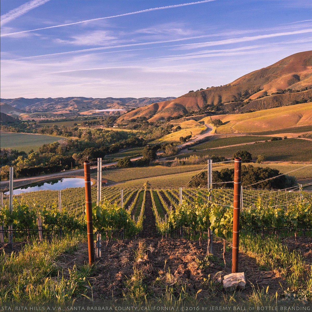 New #StaRitaHills view from the Southeastern corner of the AVA! #wine #CanonUSA #Landscape #ExploreLompoc #SBCwines