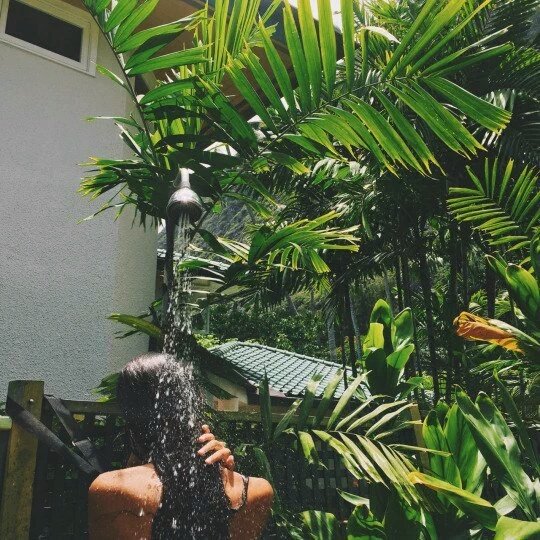 Adventurefull_'s tweet image. The Tropics look amazing🌴🌊