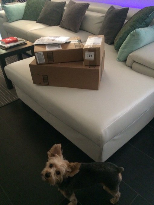 ‼ ️This just in. More presents. https://t.co/XP20rPMy8V