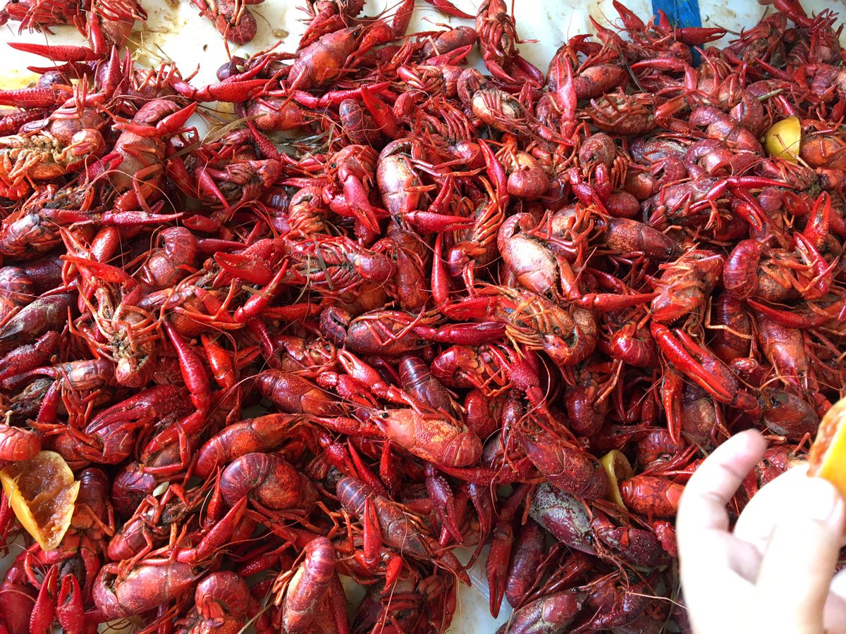 300# of these big boys! #customerappreciation #TY #austin #atx #crawfish #aiyeee #goodtimes #lucastire #allonsmanger