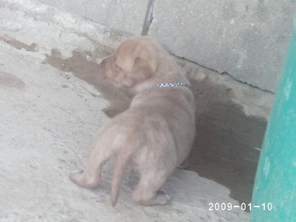 YagamiFur's tweet photo. el nuevo en la familia :3
#EnQue #MiTia<3 https://t.co/cmEHfb1UAc