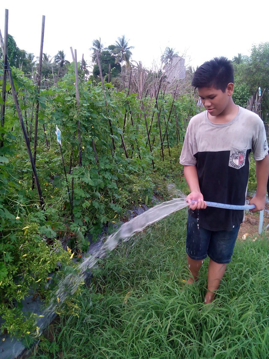 Bio Kopral (@biokopral1) on Twitter photo 