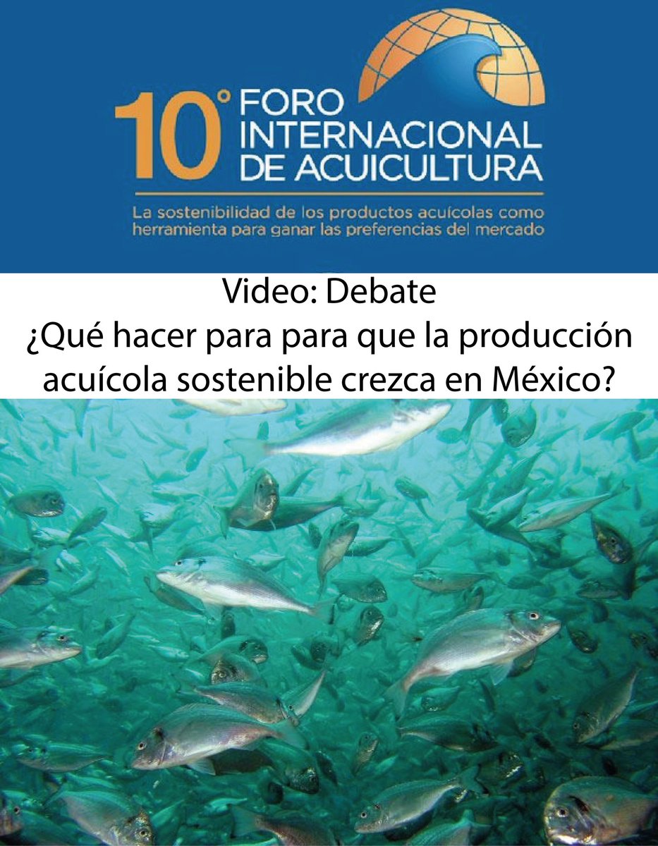 REMAcuicultura's tweet photo. Video: ¿Qué hacer para que la #producciónacuícola sostenible crezca en México? #FIACUI 2015
https://t.co/H2PYmlic4w https://t.co/nO095x0qZw