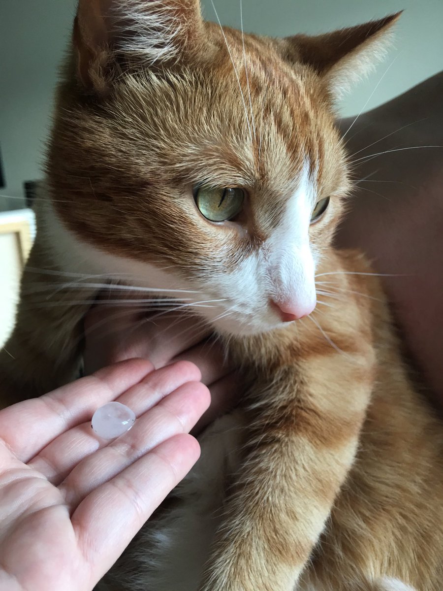 Jack Rathe (@JackRathe) | Twitter