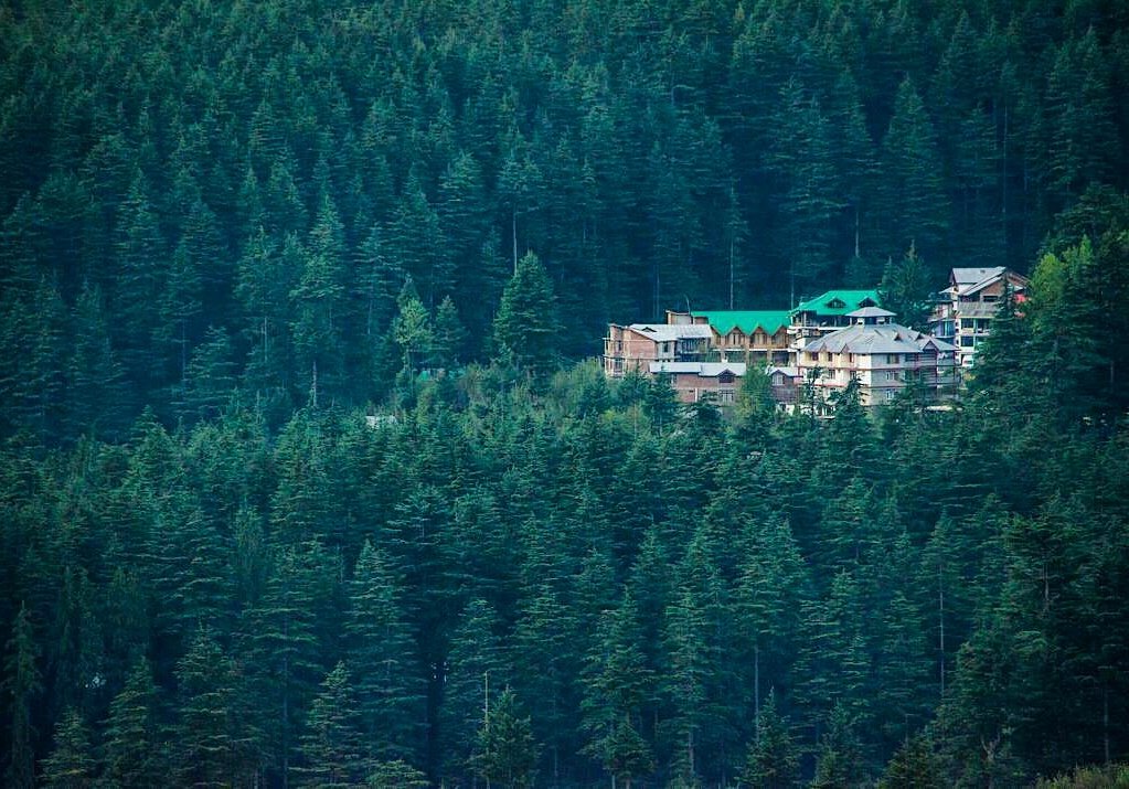 shimlalife's tweet image. We can never have enough of #nature.
...
#TravelTuesday #VIBES2016 #travelinspiration #himachal #Himalayas #forest