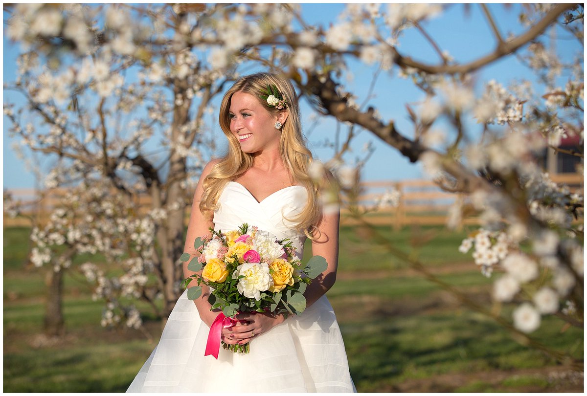 Gorgeous spring styled bridal shoot up on our blog: kevinandannablog.com
#Kentucky #Spring #StyledShoot #KyBride
