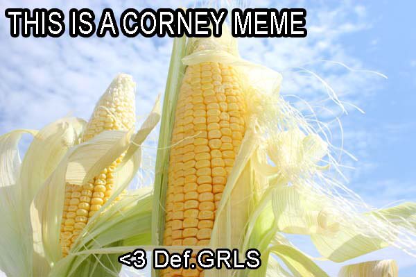 DefGrls's tweet photo. #MemeMonday #memesbymark #defgrls https://t.co/4MhAFuN7Y0