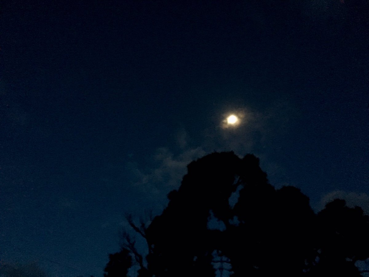 beata_mounsey's tweet photo. Moon was gorgeous lastnight &amp; this morning😍@themoon @moonnlitt @BunburyWeather @TheWAWG @jr_the_ferret @MORECAST_Au https://t.co/MHzodCSElk