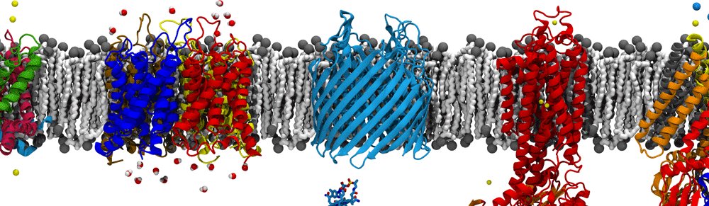 biotechinasia's tweet image. Scientists develop new technique to learn about #proteinfolding #structuralbio… biotechin.asia/2016/04/26/sci…