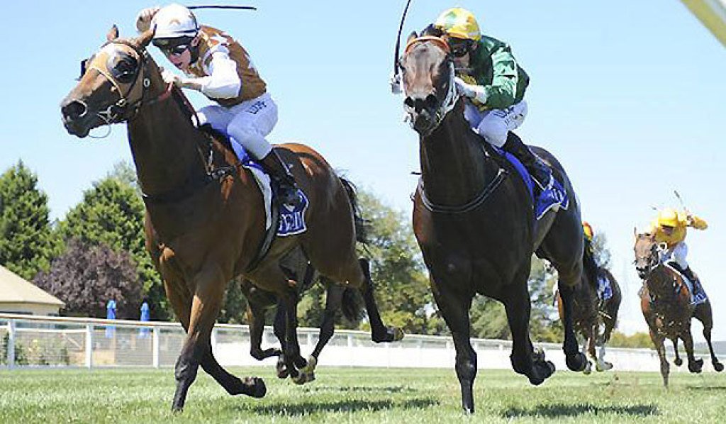 Racing's tweet photo. One of our #3TW runners for @BallTurfClub is coming off a trial win at @CranTurfClub. https://t.co/cmIhf0RkiF https://t.co/M3to9c5wuU