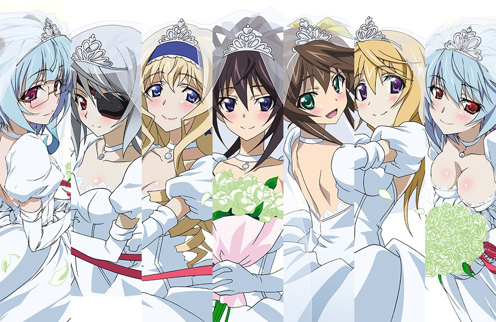 Kiyoe on X: <BD&DVD> Infinite Stratos S2 Blu-ray BOX w/bonus scans +  Picture Drama Infinite Wedding [2016/06/22] #is_anime   / X