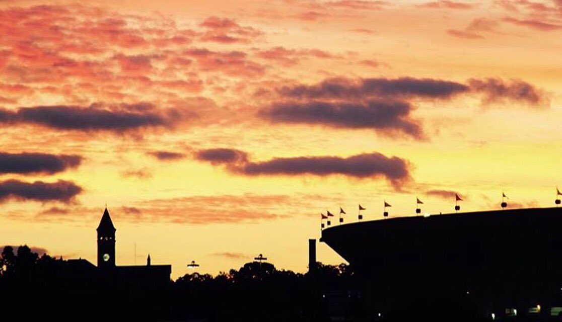 ClemsonUniv's tweet photo. This is Tiger Town! 🌅🐅

📷 by Max Huggins https://t.co/pOB46zbTlK