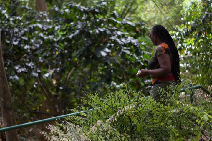 sherry_dumash's tweet image. #naturewashing #sagepath #wildfowlthrust this is a moment when nature washed the fear away