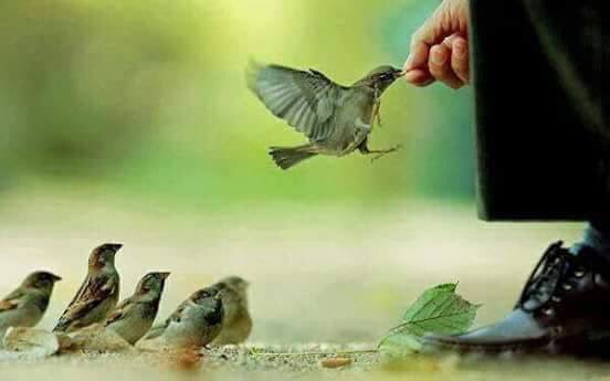 ليس 🍁
من الضروري 
ان تكون بليغا حكيما🍂
يكفي ...  ان تكون .رحيما .حنيناً
ليرحمنا...ألله.... ويرحمك
اسعد الله صباحكم🍃🌷