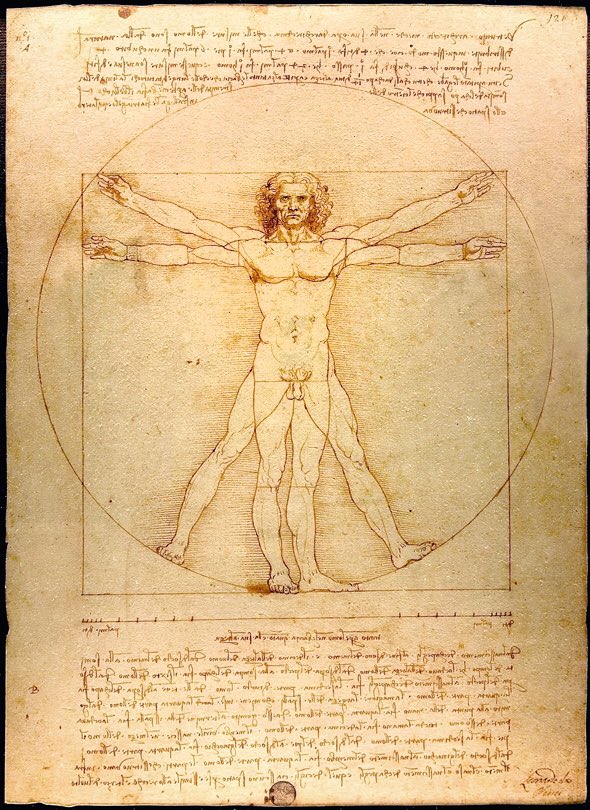 Leonardo de Vinci tweet media