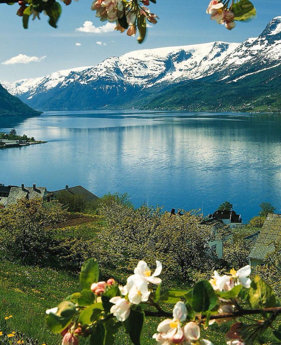 alywh's tweet photo. الرحال أول حساب عربي مرخص كدليل سياحي #بالنرويج
Official Guide in Norway Org NO: 914606918

https://t.co/w9guhlikYu https://t.co/ficL5WQuA8