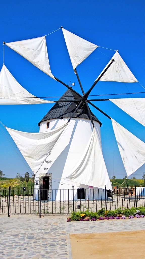 regiondemurcia's tweet image. 📸 #BuenosDías con el Molino del Pasico #TorrePacheco 🗓26 abril #400Cervantes @regmurcia_com  regmurcia.com/servlet/s.Sl?s…