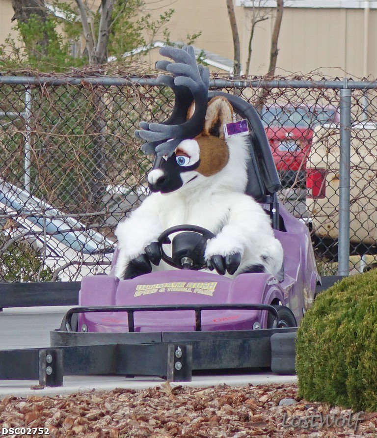 LostWolf321 tweet picture