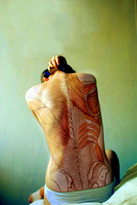 CLopezCubas's tweet photo. La fatiga, y no la falta de flexibilidad muscular, predispone a lesiones https://t.co/GiNdtUes94 https://t.co/RpO6e1CscQ