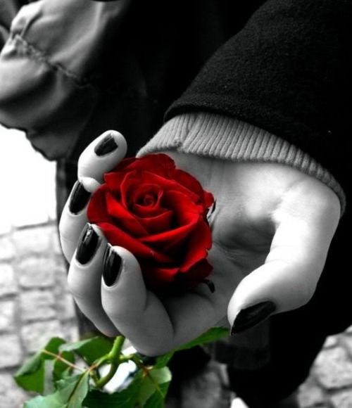 Gelincik gibidir bazı kadınlar;
Öyle nazik öyle kırılgan.. 
Neresinden severseniz sevin hep incinir…

.