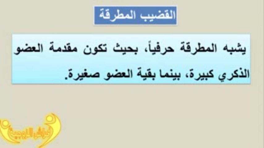 روان وكفى on twitter اشكال القضيب الذكري 1 https t co o4ncovhr5q twitter روان وكفى on twitter اشكال القضيب الذكري 1 https t co o4ncovhr5q twitter