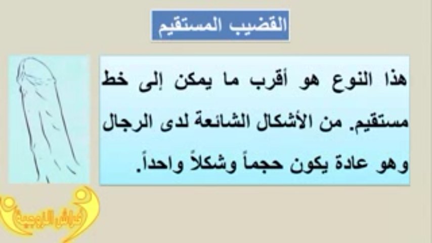 روان وكفى On Twitter اشكال القضيب الذكري 1 Https T Co O4ncovhr5q Twitter