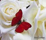 جعل الله صباحكم دائماً مشرقاً
بقرارات التغيير للأ فضل
صباح الخير أحبتي🌺
#كروب_كايدهم_للدعم 
#كروب_نواره_تويتر_للدعم