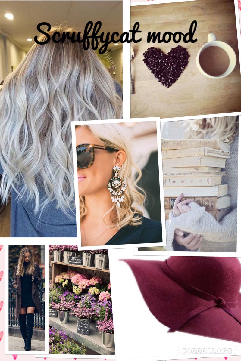 beckyelliot's tweet photo. @ScruffyLilCat #moodboard #pickme!pickme! #baginspo https://t.co/SnzE0fGxfR