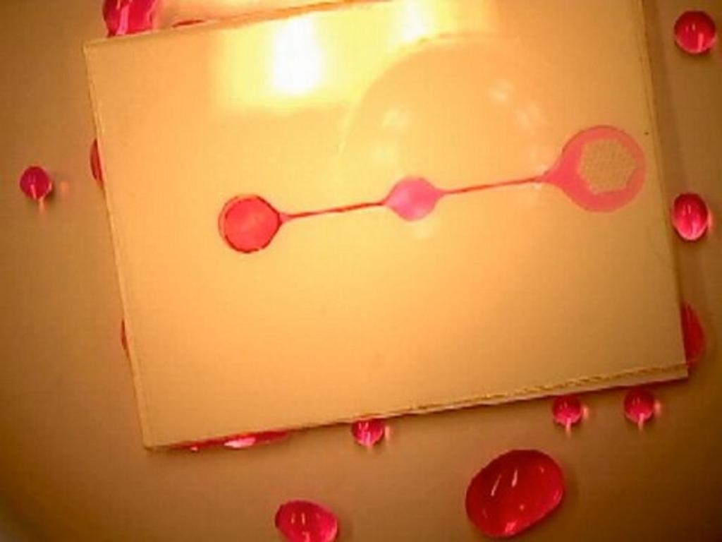 This wearable, flexible sensor analyzes your sweat to determine the state of your health: onforb.es/1YQocl0