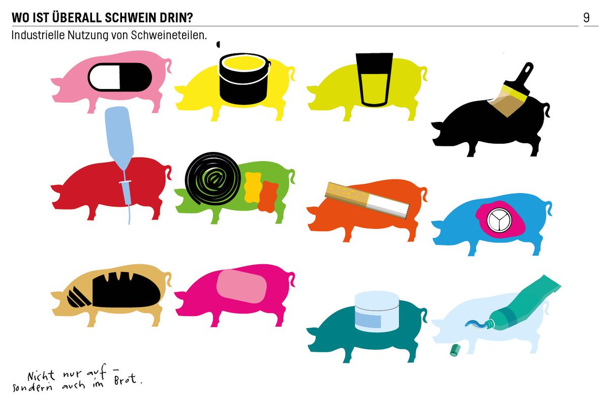 MeatAtlas's tweet photo. Wo ist eigentlich überall #Schwein drin? https://t.co/lteqEMMG53 @boell_stiftung #Fleisch #Infografik #Tiere #isswas https://t.co/4lqjUuinDl