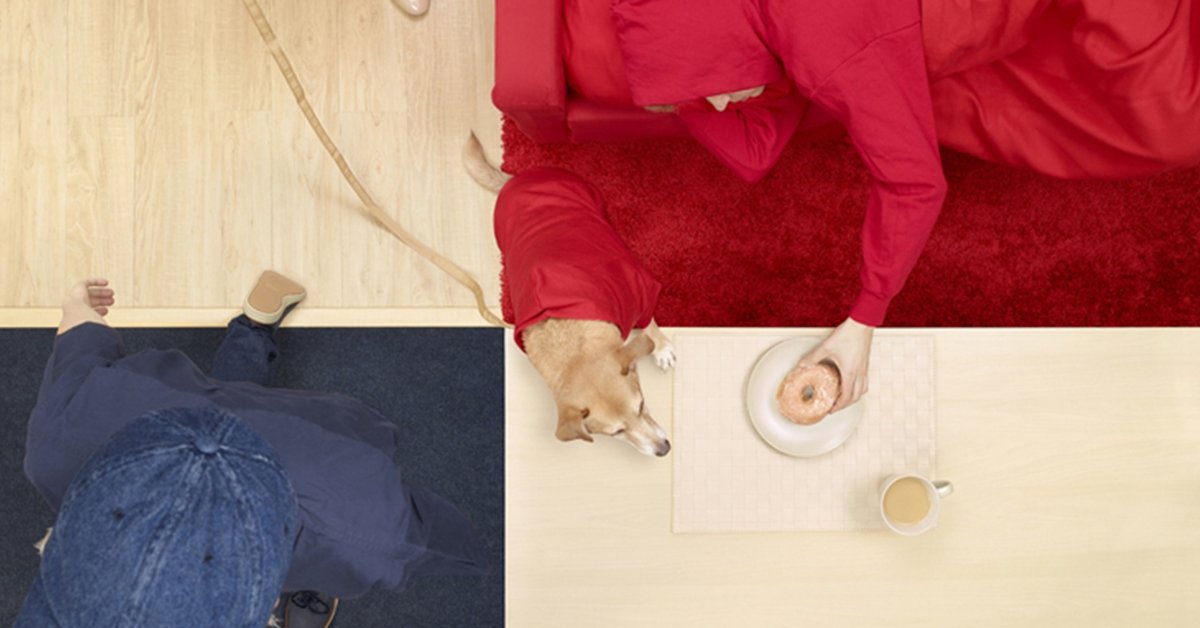 creators_fr's tweet photo. Ikea va finir par vous changer en meuble : https://t.co/nUHBDJoKEs https://t.co/3hlaqFAakn