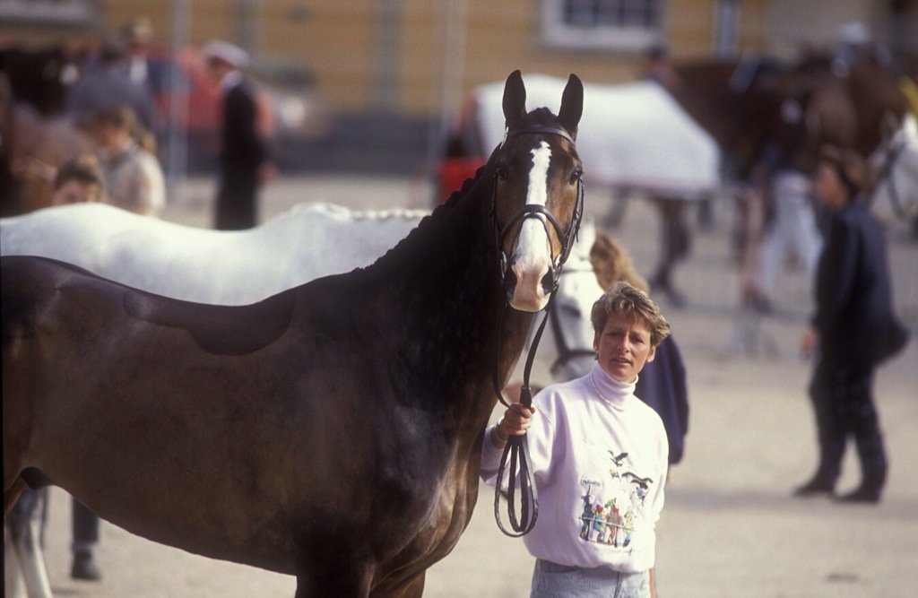 bhorsetrials's tweet photo. Top 10 #MMBHT25 moments: today's  feature video is Mary Thomson (King) winning the '92 title https://t.co/7MXy5kYwHc https://t.co/jQcw5WWPmh