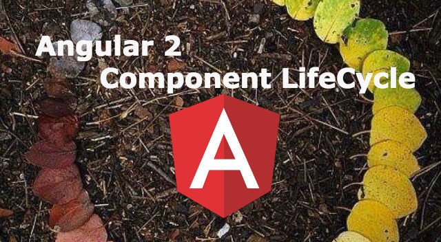angular_de's tweet image. #Angular2 Component LifeCycle von Bengt Weiße

buff.ly/1NLvm48