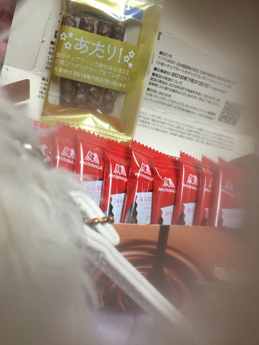 金のチェブラーシカ