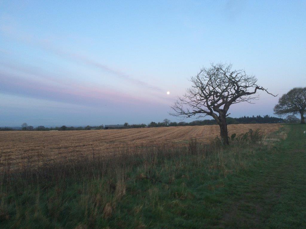 CommunityRamble's tweet image. As time goes by communityramblings.wordpress.com/2016/04/26/as-…