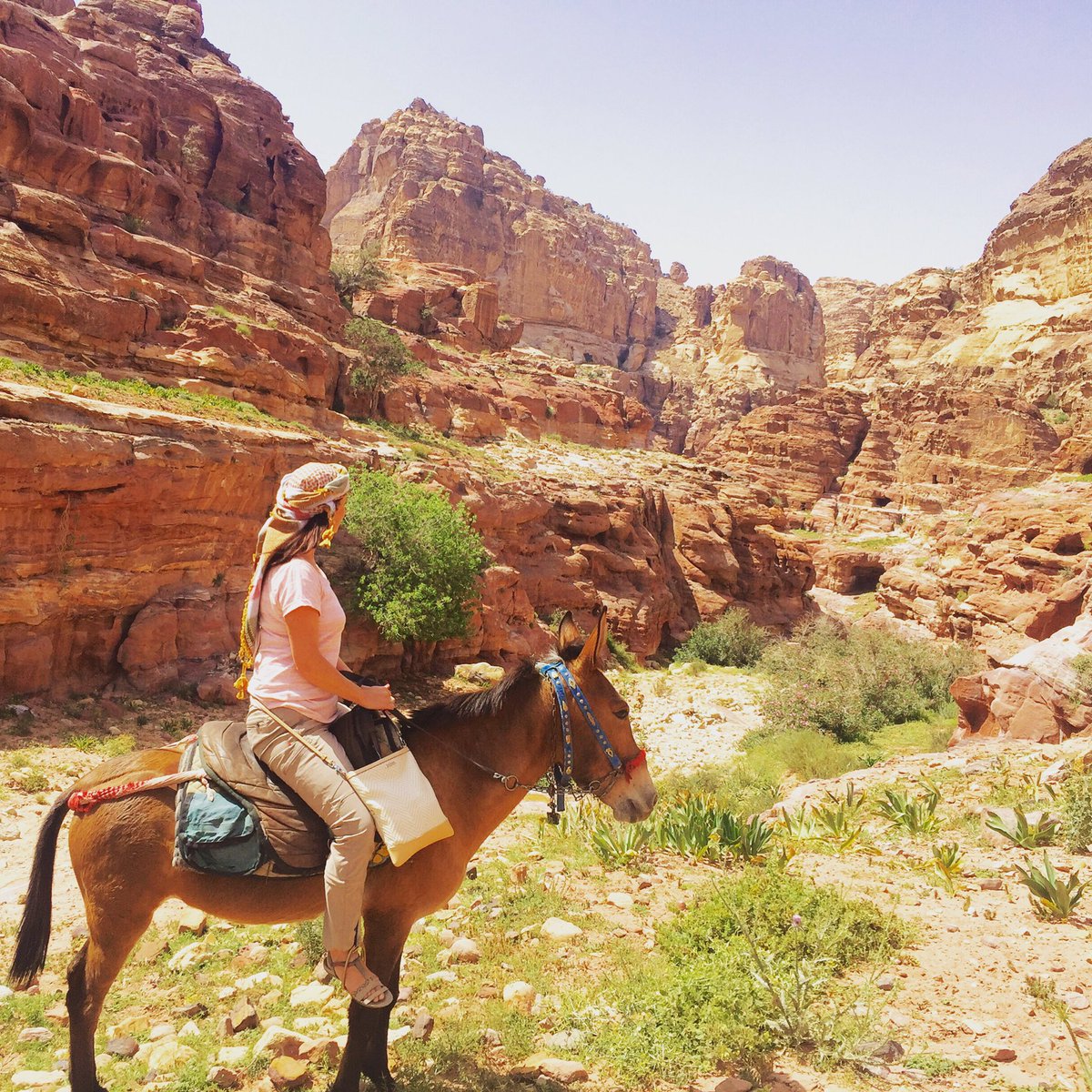 Exploring #Petra beyond the Treasury <a href="/VisitJordan/">Visit Jordan</a> <a href="/everyjourney11/">Caroline Crossley Travel Counsellor</a>