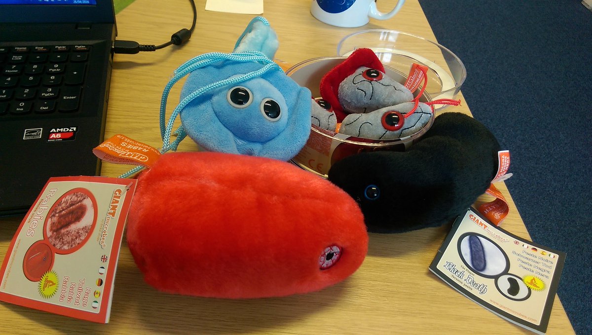 giant microbes rabies