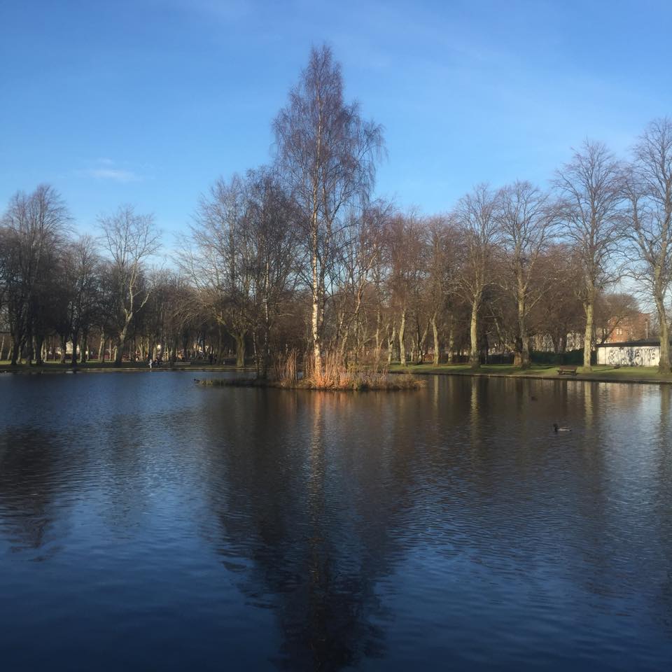 RenfrewDT's tweet photo. Another lovely day! Why not go for a stroll in Robertson Park? https://t.co/YsphSPcbTr
