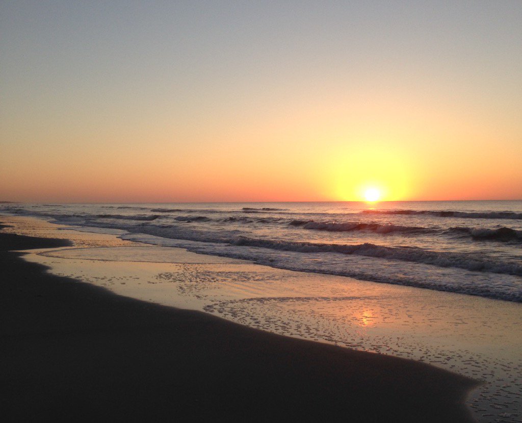 onlyhereonlynow's tweet image. Always and never the same.