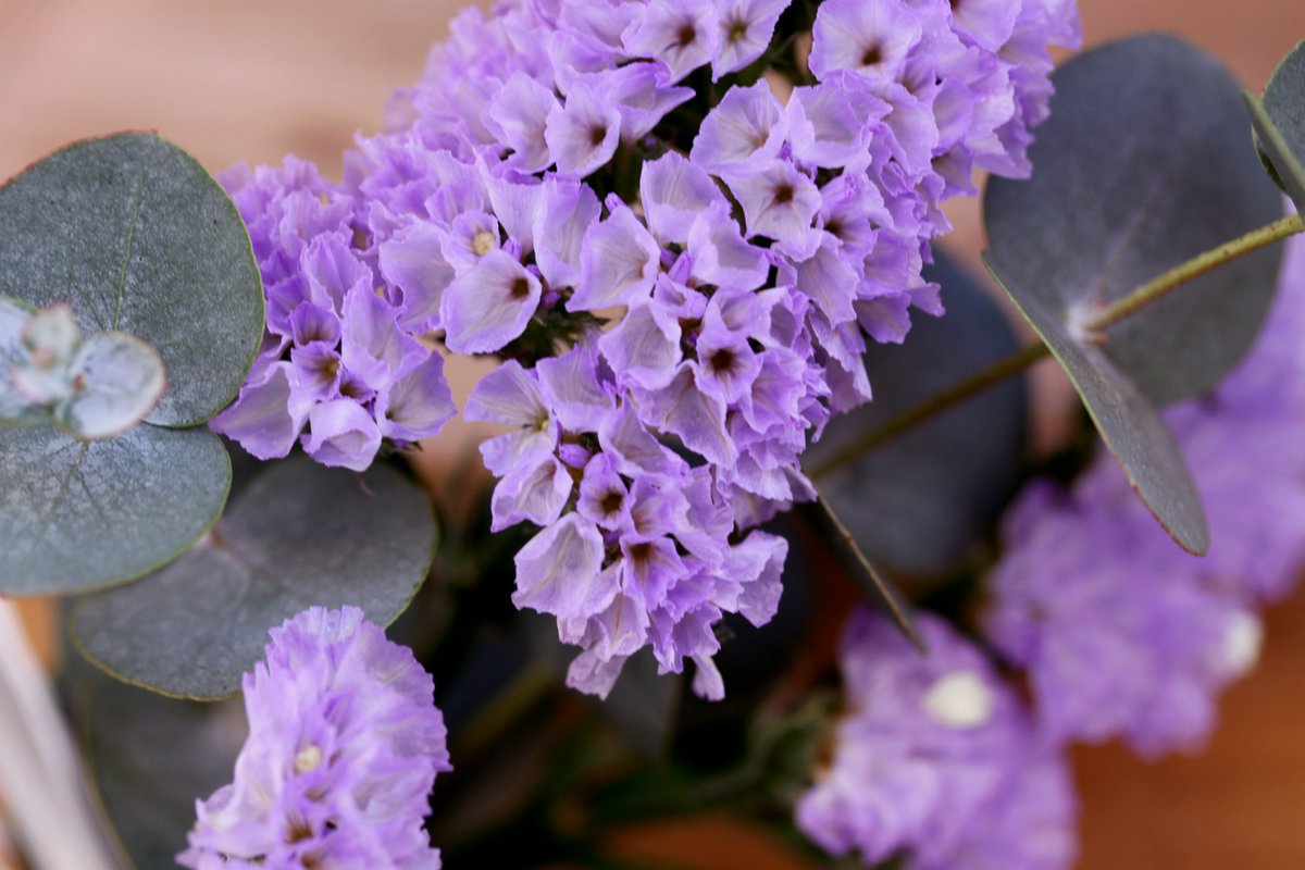 #7millonesderazonesparaquererla #diadelamadre
<a href="/sietegallery/">SIETE Jewels Gallery</a> te regala un ramillete de #statice para sorprenderla!