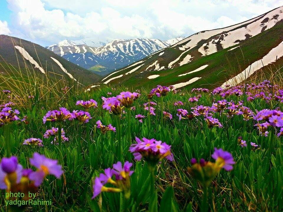 Shanga Renge Heste Lew Ciya U Zozan E Be Siwan Bibmewe Kurdistan Twitterkurds Hemin Mamle