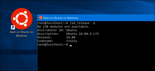 LilianaSuleiman's tweet image. How to Install and Use the #LinuxBash Shell on #Windows10 ow.ly/3zzuUc