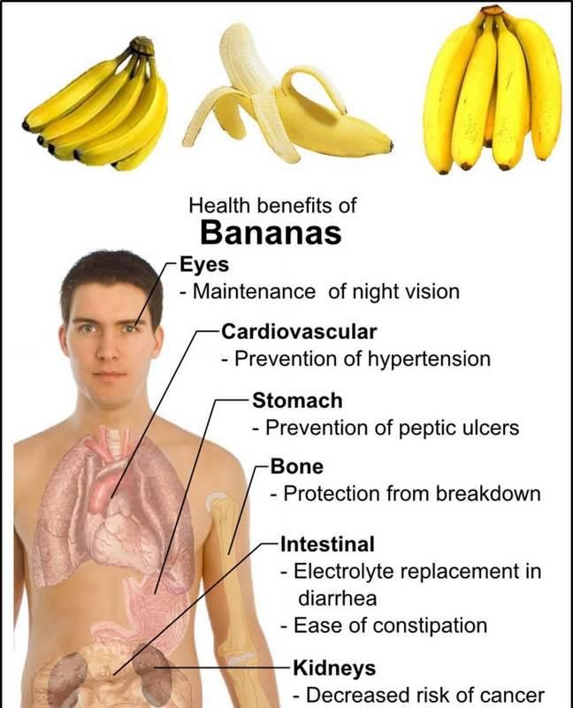 Bananas  llir.biz/bz?0toRq