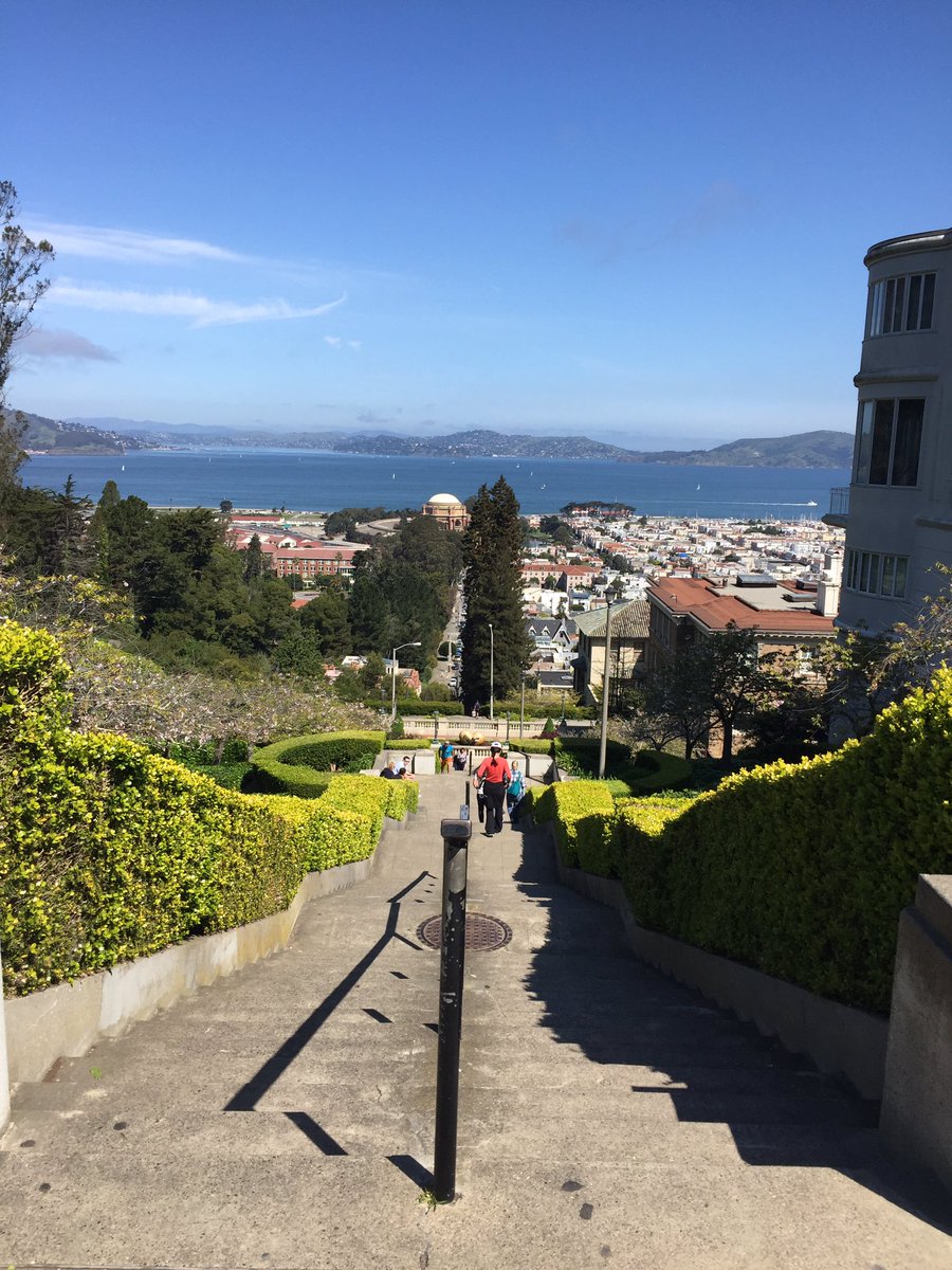 ChrissyKay's tweet image. I can&apos;t believe I get to live here!!! I used to dream about this #lyonstairs #pacheights #SanFrancisco