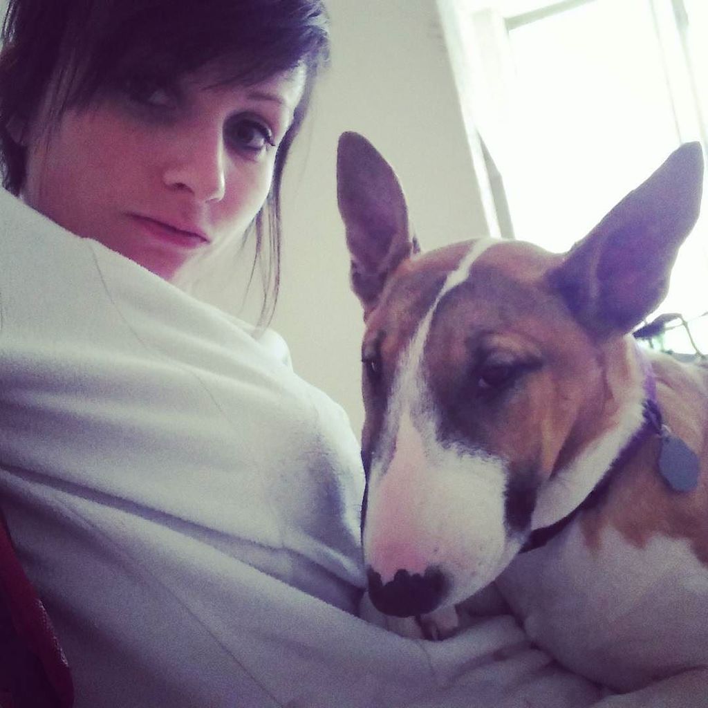 pao_alv45's tweet photo. #surlechantier #instamoment #instadog #instacalin #monbebe #amour #bullterrier https://t.co/JPPPn7OVUP