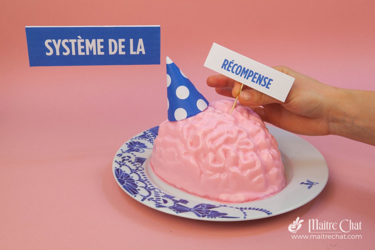 Mais non, vous n'êtes pas accro aux #reseauxsociaux. La preuve ! elaee.com/2016/04/14/255… #RS #digital