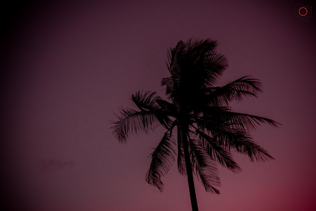 Jim Yonazi tweet media